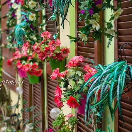 Apartment V.a Boutique And Acharavi (Corfu)